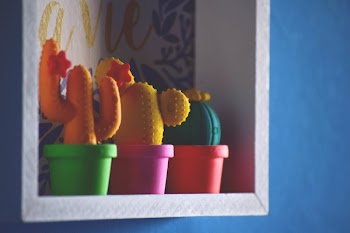 Three Assorted Coloured Cactus Plant Toys