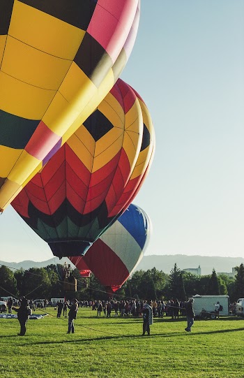Three Assorted Coloured Hot Air Balloons