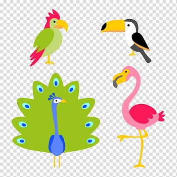 Three assorted-type birds illustration, Lion Zoo Animal Safari , Tropical Animals transparent background PNG clipart