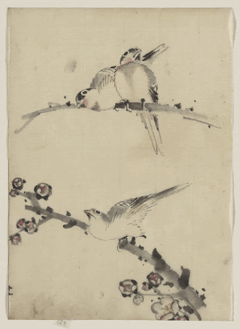 [Three birds perched on branches, | Free Photo - rawpixel