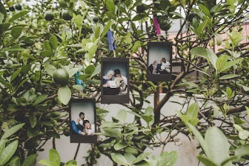 Three Black Wooden Photo Frames Hanged on Tree