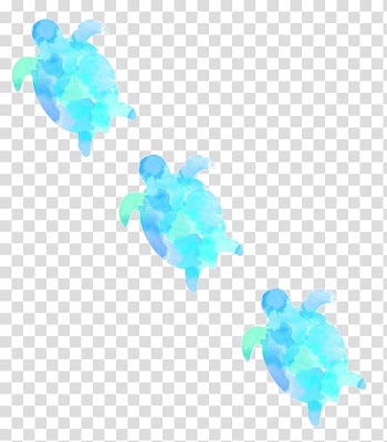 Three blue turtle illustration, Turtle Sticker Laptop , watercolor animal transparent background PNG clipart