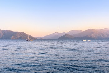 Three Boat on Body of Water Near Land