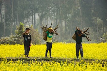 Three Boy's Standing Holding Branches