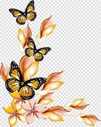 Three brown-and-black butterfly illustration, Butterfly Flower, Flowers and butterflies borders transparent background PNG clipart