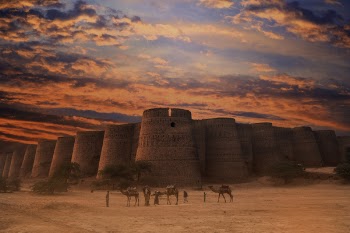 Three Brown Camels Near Building Under Cloudy Sky