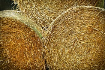Three Brown Hay Bale