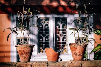 three brown planters on concrete surface