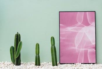 three cacti and pink abstract painting against teal wall