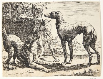 Three dogs | Free Photo - rawpixel
