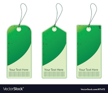 Three eco shopping tags with bubbles vector image
