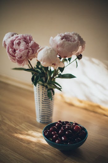 Three Flowers in Vase