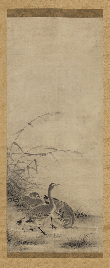 three geese walking and nibbling | Free Photo - rawpixel