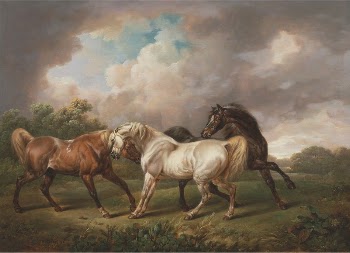 Three Horses in a Stormy | Free Photo - rawpixel