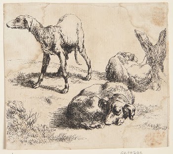 Three hunting dogs | Free Photo - rawpixel