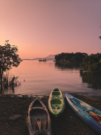 Three Kayaks on Shore