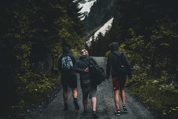 Three Men Walking on Road Between Tall Trees