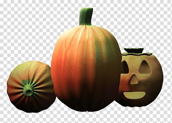 Three orange pumpkins transparent background PNG clipart