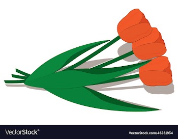 three orange tulips bouquet