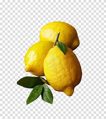 , three oval yellow fruits transparent background PNG clipart