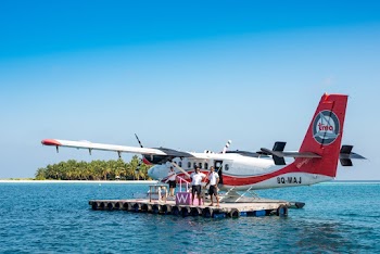Three People Standing Beside airPlane