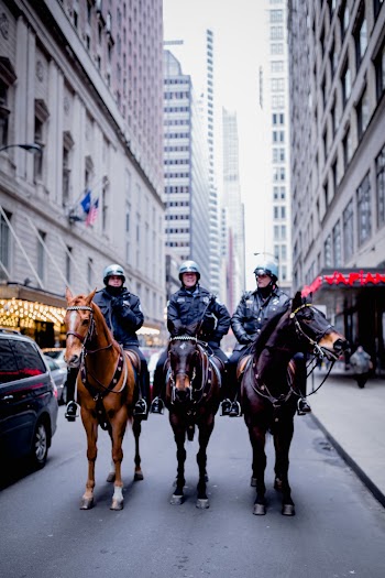 Three Person Riding Horse on Concrete Road Between Buildings