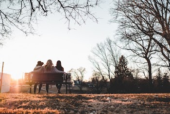 Three Person Sitting on Bench Under Withered Trees