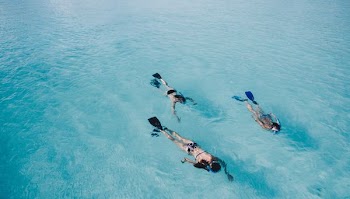 three person swimming on body of water