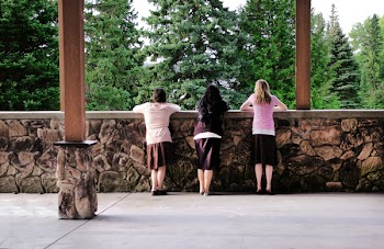 Three Pink and Brown Dress