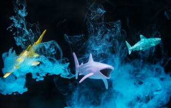 Three Plastic Toy Fish Underwater