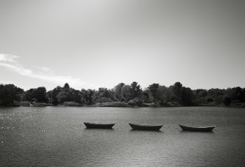 Three Punt Boats on Body of Water