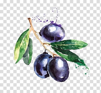 , three purple fruits transparent background PNG clipart