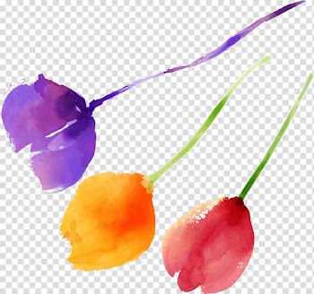 Three purple, yellow, and pink tulip flowers illustration, Red Purple Tulip, Watercolor painted purple tulip creative red transparent background PNG clipart