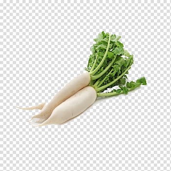 Three radish, Daikon Leaf vegetable Chinese cabbage, radish transparent background PNG clipart
