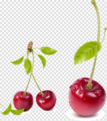 Three red cherries illustration, Cherry Fruit , cherry transparent background PNG clipart