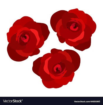 three red roses