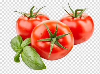 Three red tomatoes illustration, Juice Organic food Roma tomato Frutti di bosco Vegetable, Tomatoes Tomato transparent background PNG clipart