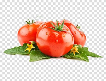 Three red tomatoes, Vegetable Tomato Lettuce Fruit Food, tomato transparent background PNG clipart