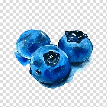 Three round blue illustrations, Watercolor painting Blueberry, Blueberry blooming watercolor painting hand transparent background PNG clipart