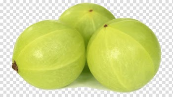 Three round green fruits, Indian gooseberry Seedless fruit , Amla transparent background PNG clipart