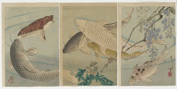 three separate sheets; six swimming | Free Photo - rawpixel