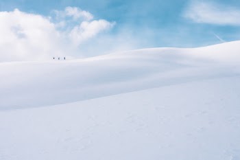 Three skiers