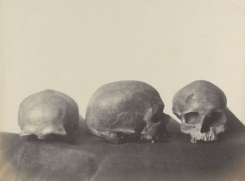 Three Skulls, Found in a Cave | Free Photo - rawpixel