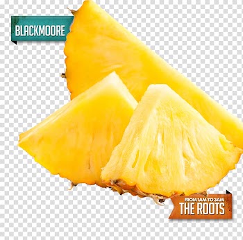 Three slices of pineapple, Juice Piña colada Pineapple Fruit salad Slice, pineapple transparent background PNG clipart