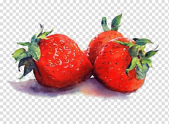 Three strawberries , Watercolor Still Life Tulips in a Vase Watercolor painting, Strawberry transparent background PNG clipart