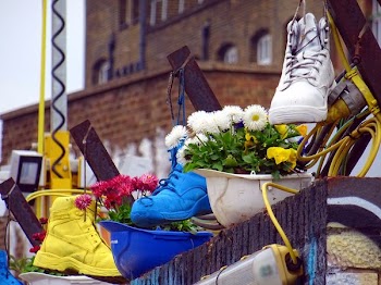 Three Unpaired Assorted-color High-top Shoes on Flowers