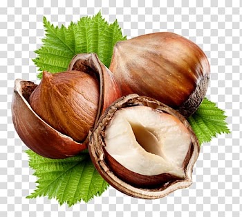 Three wallnuts, Hazelnut Nuts Common hazel Fruit, child transparent background PNG clipart
