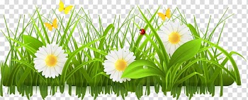 Three white daisies with yellow butterflies digital artwork, Spring Flower , Green flowers, bushes transparent background PNG clipart