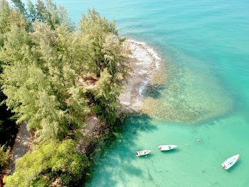 Three White Powerboats Near at Island