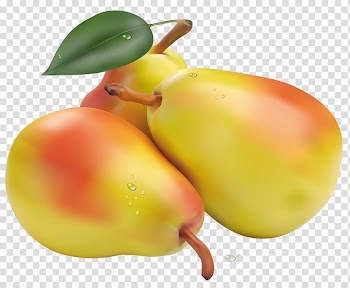 Three yellow-and-pink pears, Pear Fruit Vegetable , Pears transparent background PNG clipart